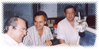 Ampliar Foto